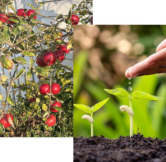 Nutrition Works LLC | Portland Maine