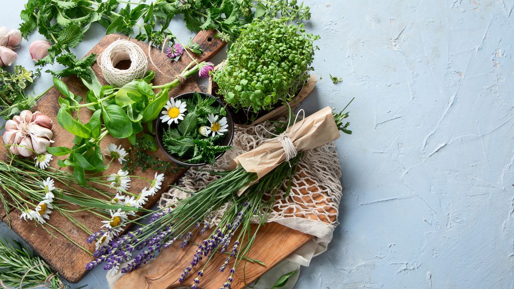 Nutrition Works LLC | Portland Maine